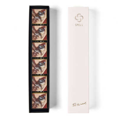 Set of Tiramisu candies with printing (your design)