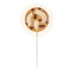Coco Brownie Chocolate Lollipop