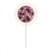 Chocolate lollipop Crunch blueberry