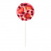 Chocolate lollipop Berry