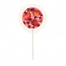 Chocolate lollipop Berry