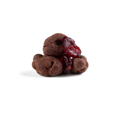 Dried cranberries in dark chocolate