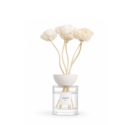 Diffuser with aroma Capri