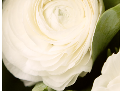 Що подарувати на 8 березня, коли не хочеться обмежуватися формальним букетом Що подарувати на 8 березня, коли не хочеться обмежуватися формальним букетом