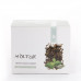 Black Cyprus tea with mint and lemon balm leaves 