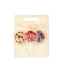 Chocolate lollipops - mini-set (3 pcs)