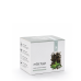 Citrus Freshness flavour combination