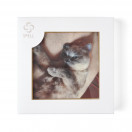 product variation additional img